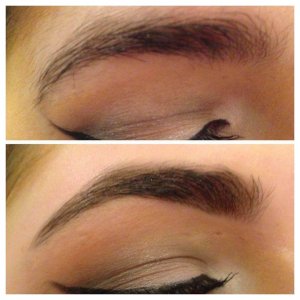 High Definition Brows